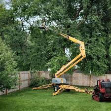 Best Tree Trimming and Pruning  in Bangor, ME